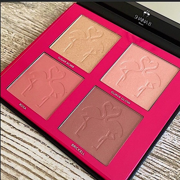 🆕🔥SHAINA B MIAMI BLUSH& HIGHLIGHT PALETTE STUNNING COLORS BEAUTIFUL ON SKIN - Picture 6 of 9